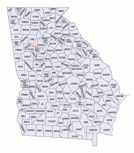 Georgia Permit, Building Code and Licensing Information